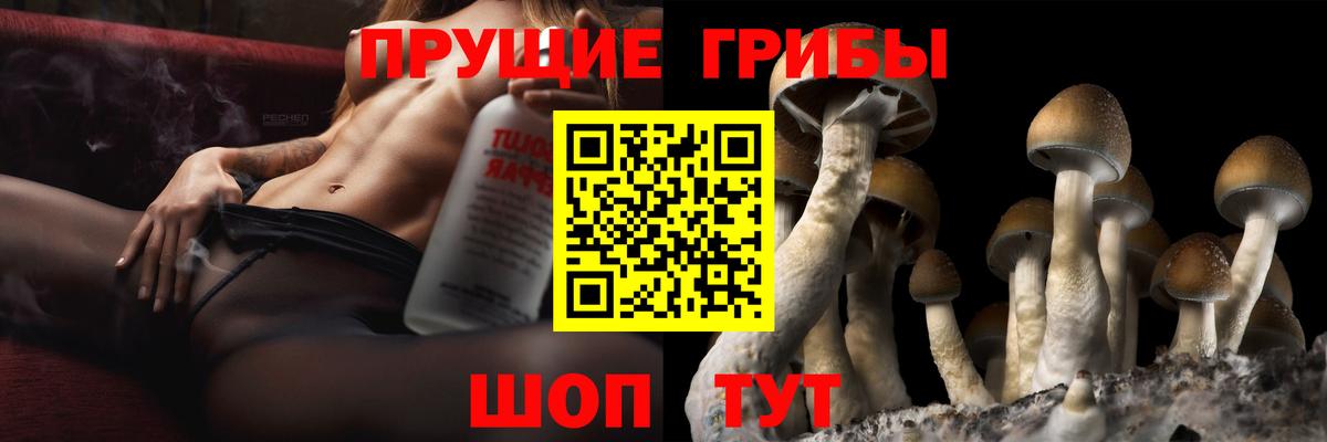 Холмск  Псилоцибиновые грибы Psilocybine cubensis  Галлюциногенные грибы ЛСД  Вход с VPN 